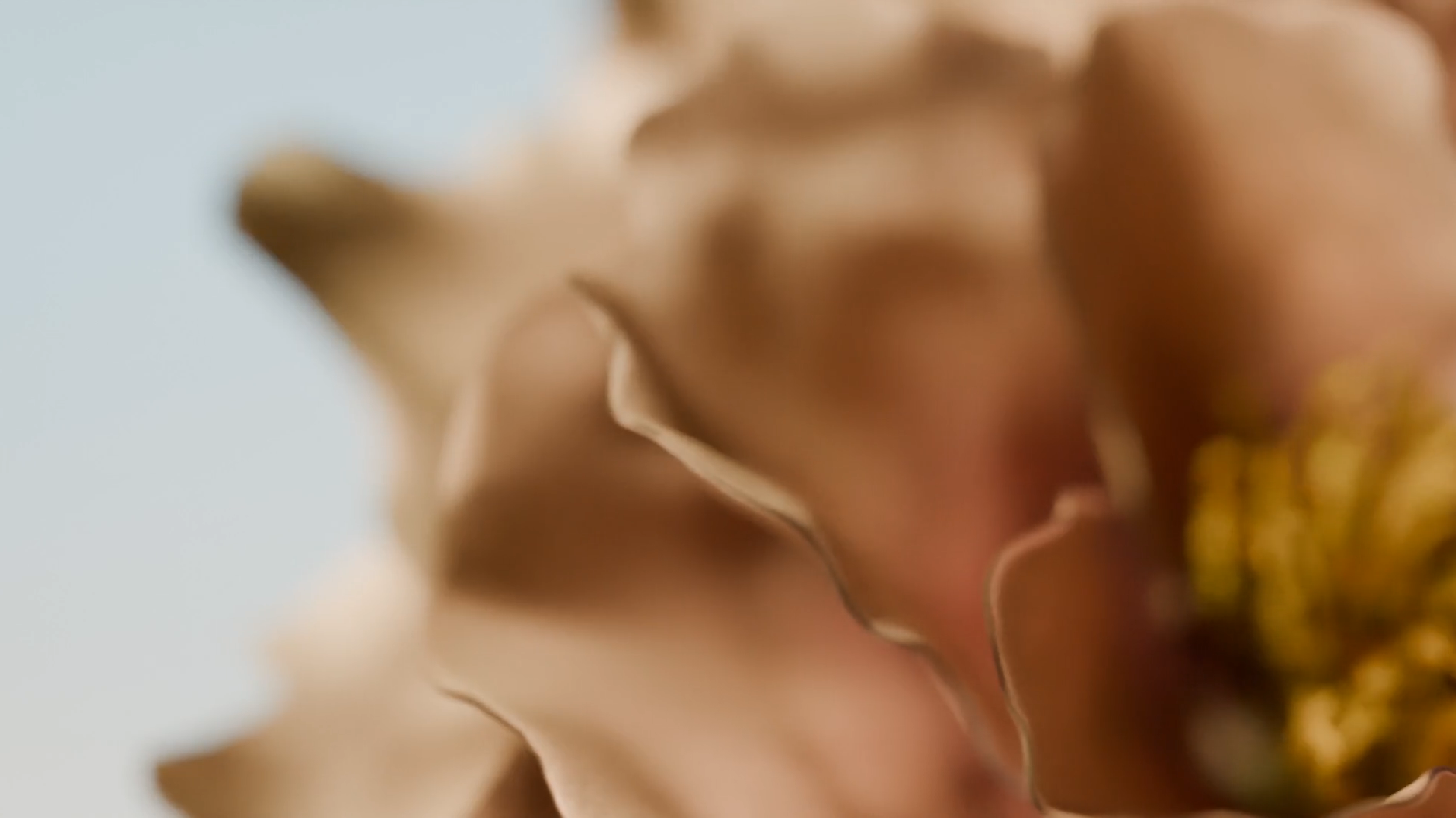 HEROV1 DESKTOP 1600x900 V1 Marina Rinaldi